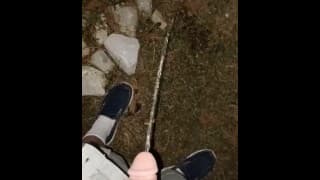 后院夜撒尿