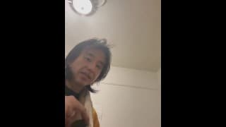 湾区附近需要紧急猫