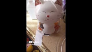 亚洲Kitty