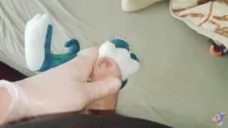 Blue t-rex Fun