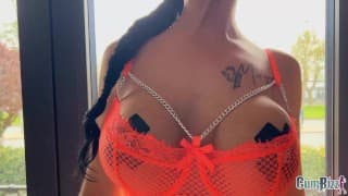 荷兰女王节荷兰